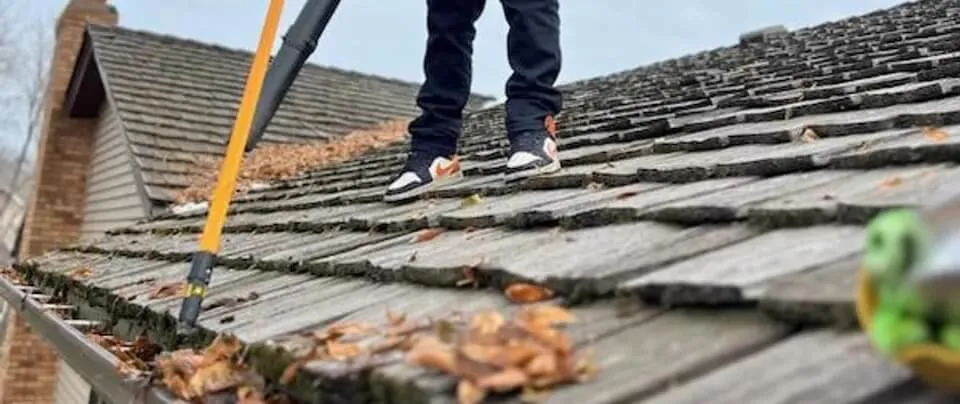 Gutter Cleaning